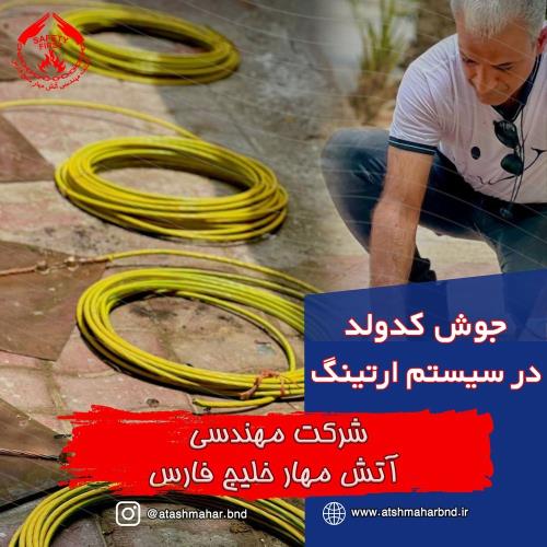 جوش کدولد